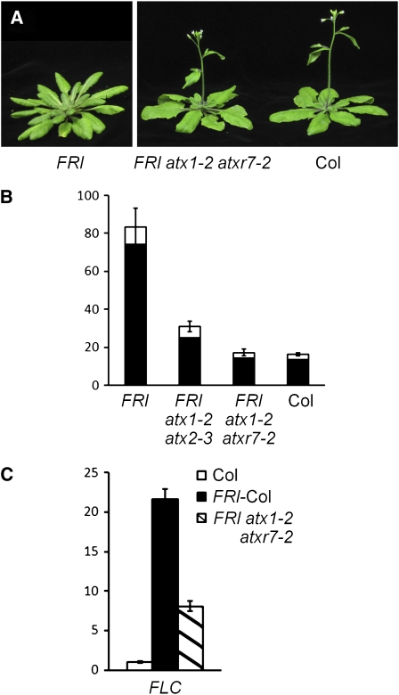 Figure 4.