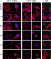 FIG. 4.