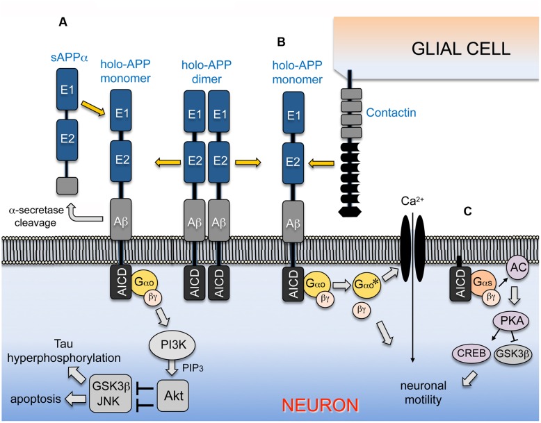 FIGURE 2