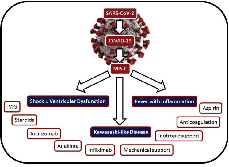 Figure 4