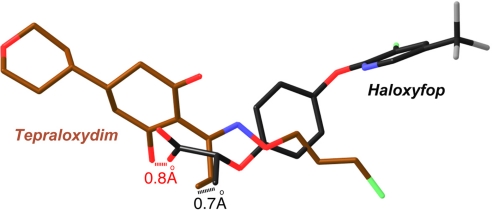 Fig. 4.