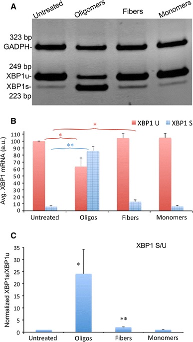 Fig. 3