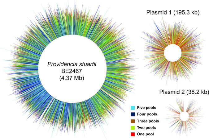 FIG 2