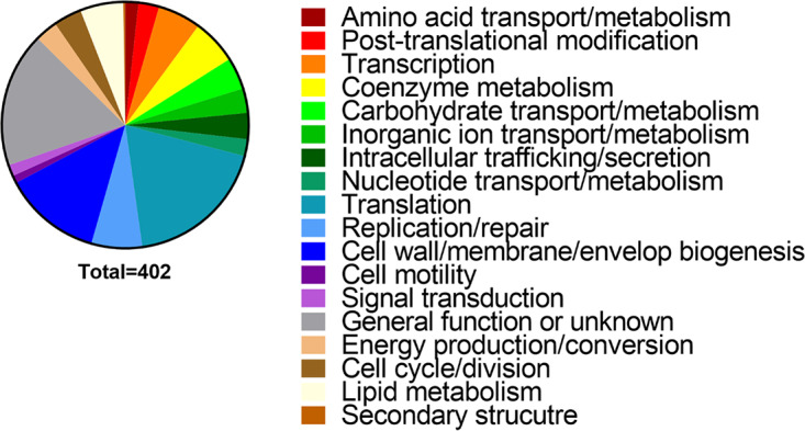 FIG 3