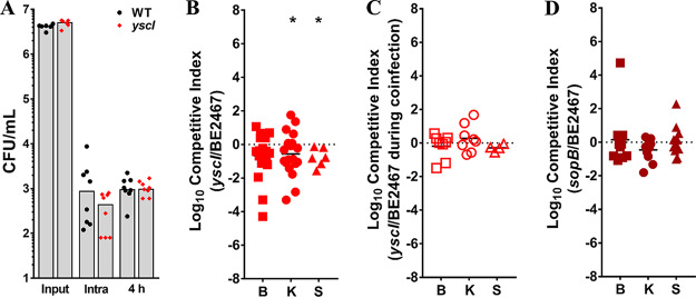 FIG 12