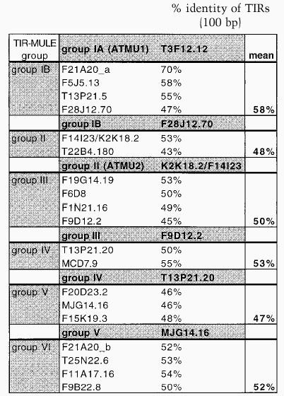 graphic file with name 591t1B.jpg