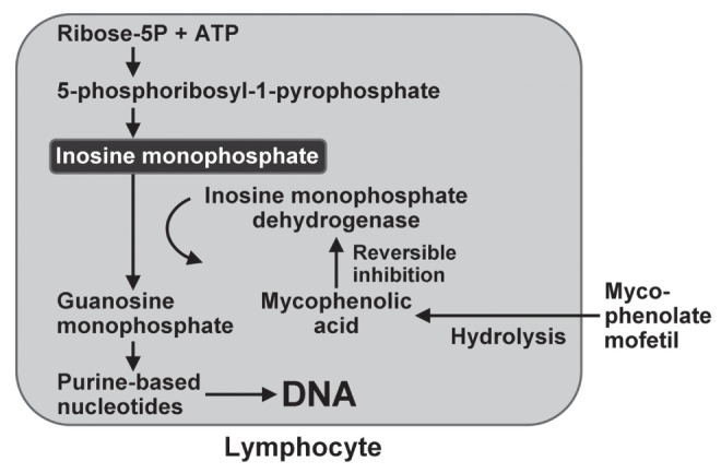 Figure 2)