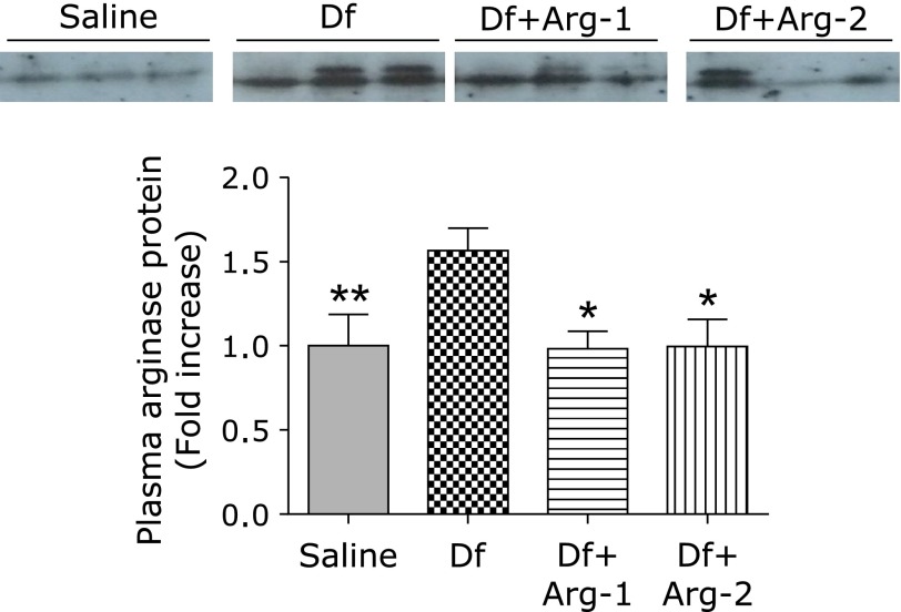 Fig. 6