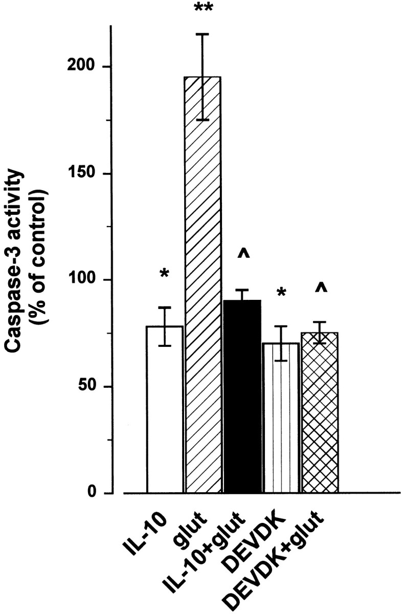 Fig. 9.