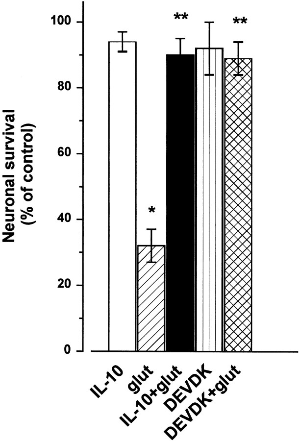 Fig. 10.