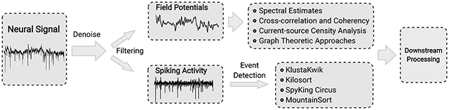 graphic file with name nihms-1642191-f0009.jpg