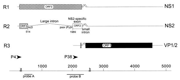 FIG. 1