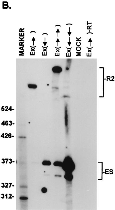 FIG. 7