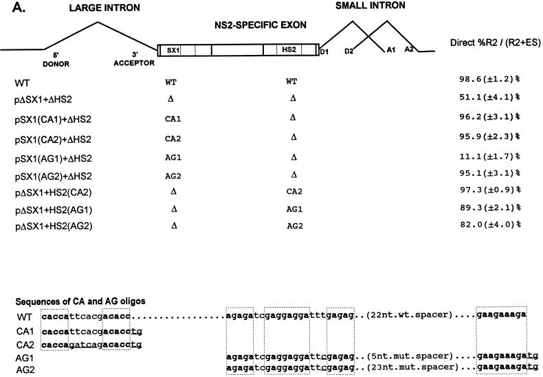 FIG. 4