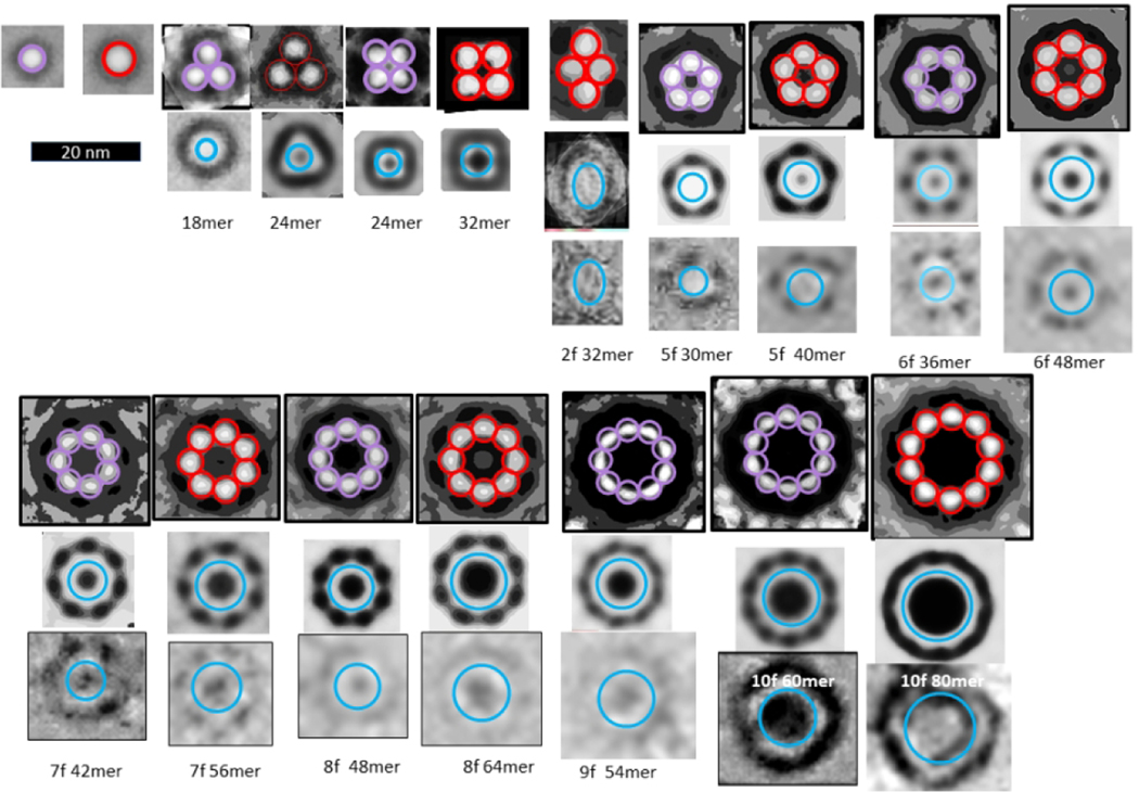 Figure 10.