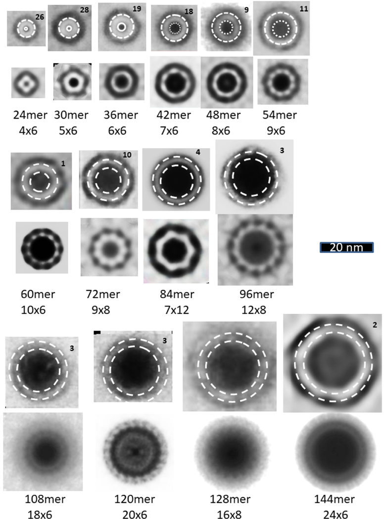 Figure 11.