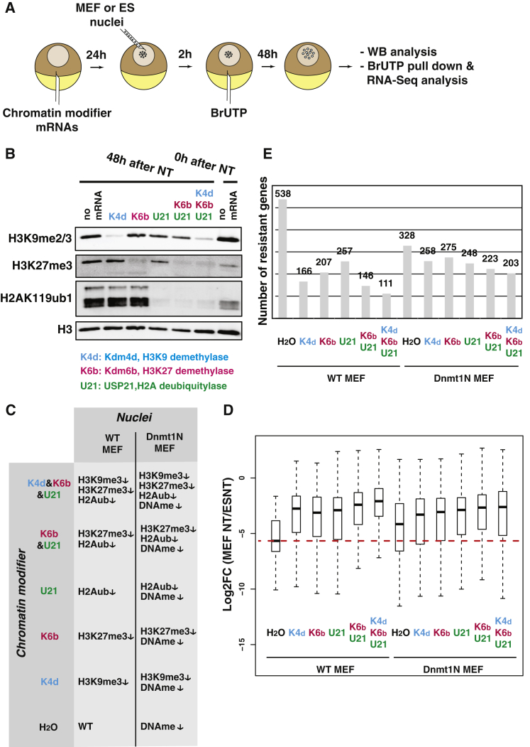 Figure 3