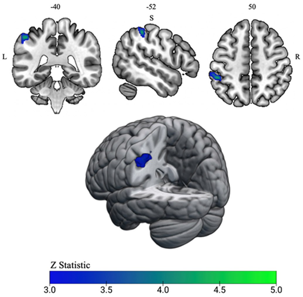 Figure 2: