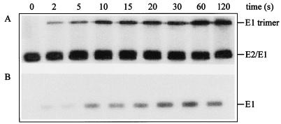 FIG. 7