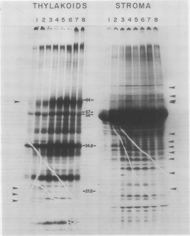 FIG. 9