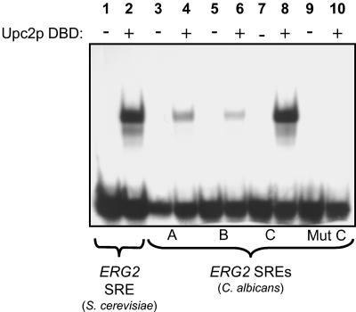 FIG. 5.