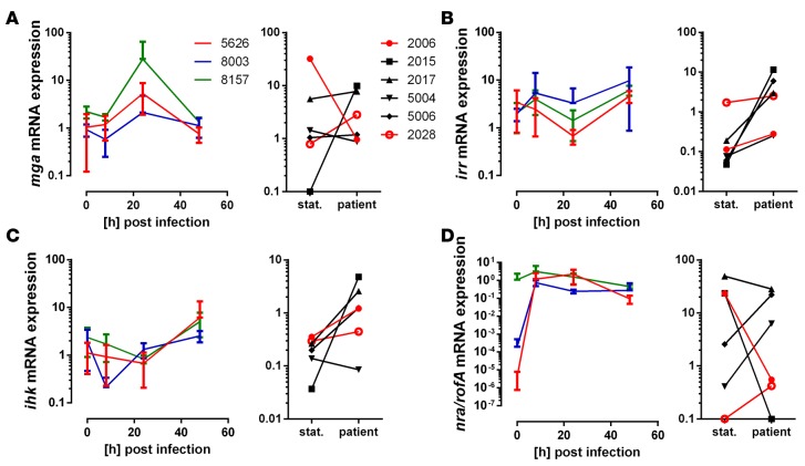 Figure 6