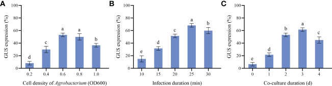 Figure 6