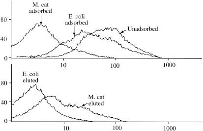 FIG. 4.