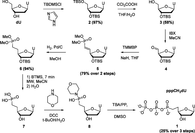 Scheme 1