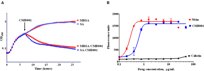 FIGURE 3