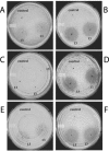 FIG. 4.