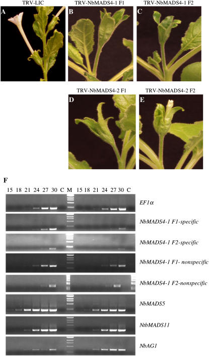 Figure 5.