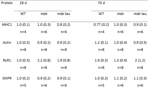 Table 2