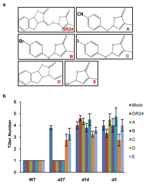 Extended Data Figure 7