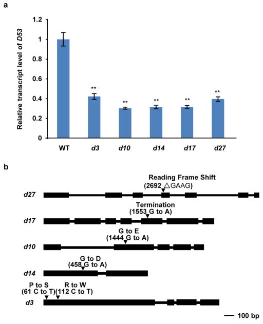 Extended Data Figure 5