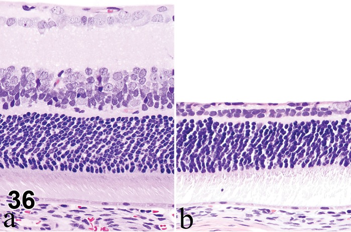 Figure 36.