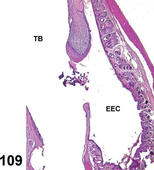 Figure 109.