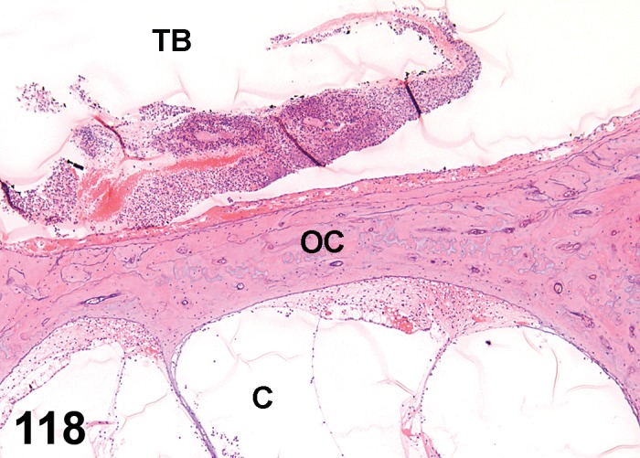 Figure 118.