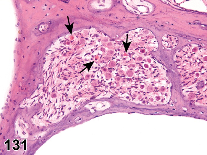 Figure 131.