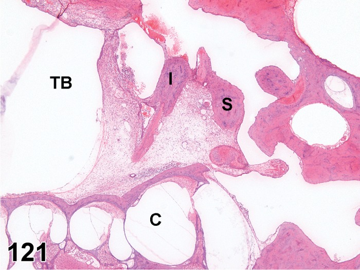 Figure 121.