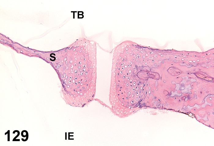 Figure 129.