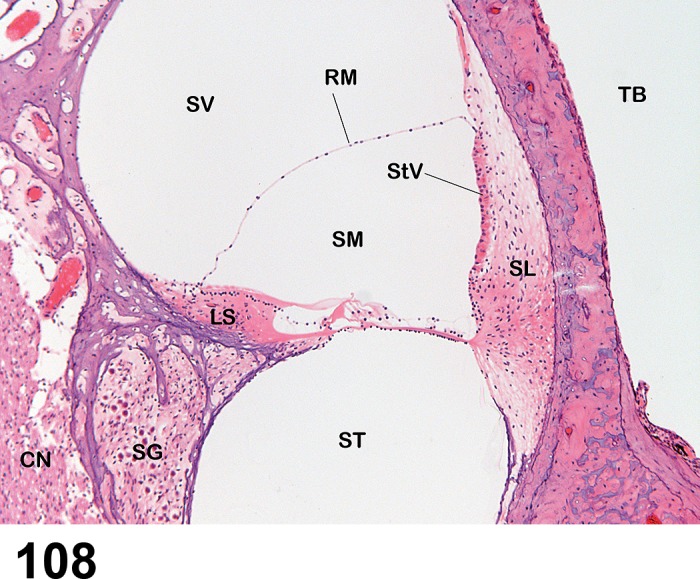 Figure 108.