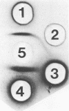 505