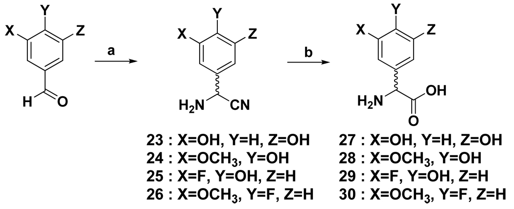 Scheme 2