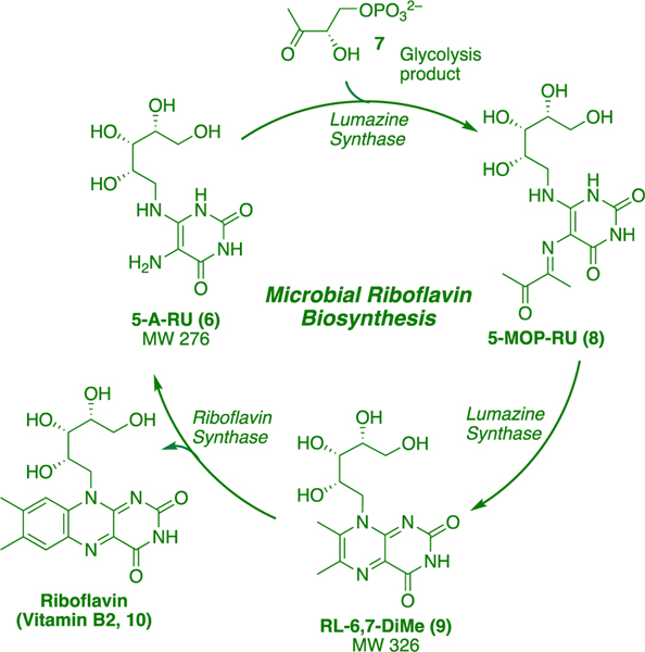 Scheme 2.