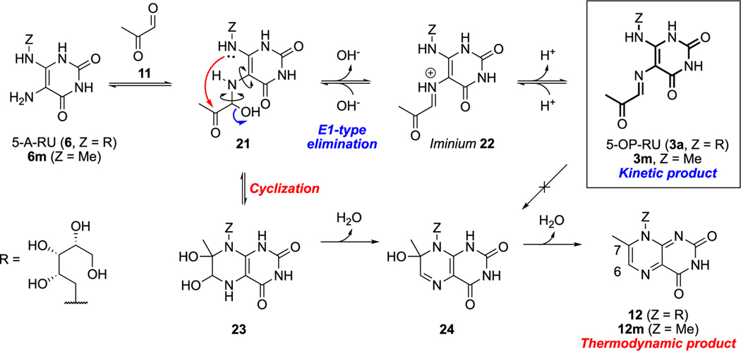 Scheme 5.