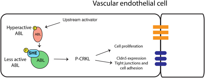 Figure 10.