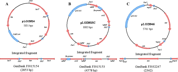 Fig. 1