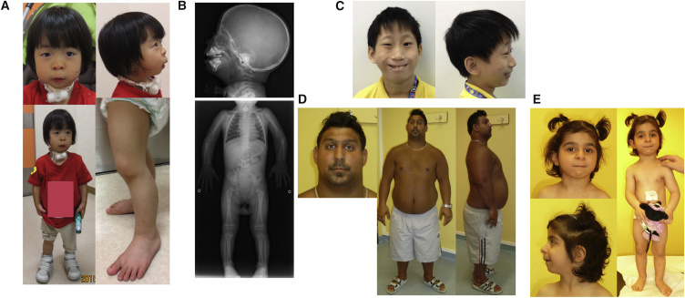 Figure 1