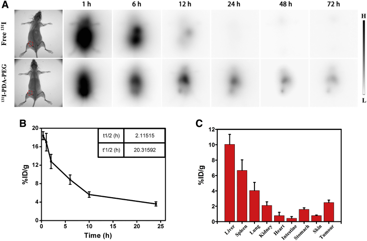 Figure 6